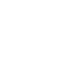 Layer_1